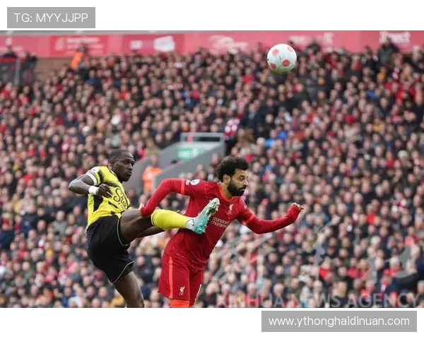 沃特福德足球俱乐部发展历程及其在英格兰足球中的独特地位分析