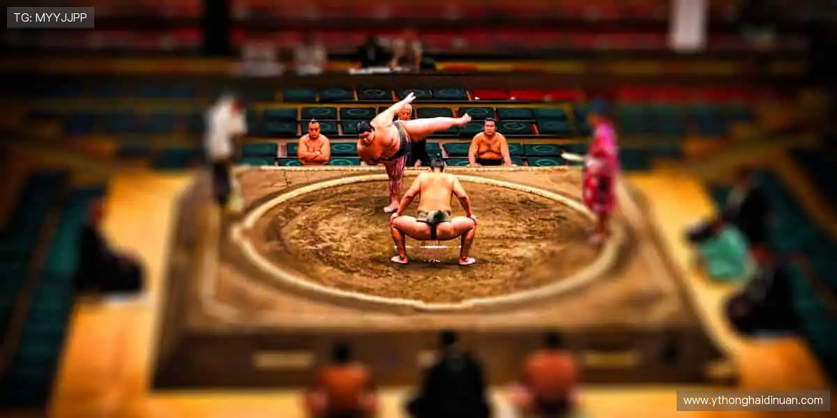 每一球，都是心跳的理由！⚽